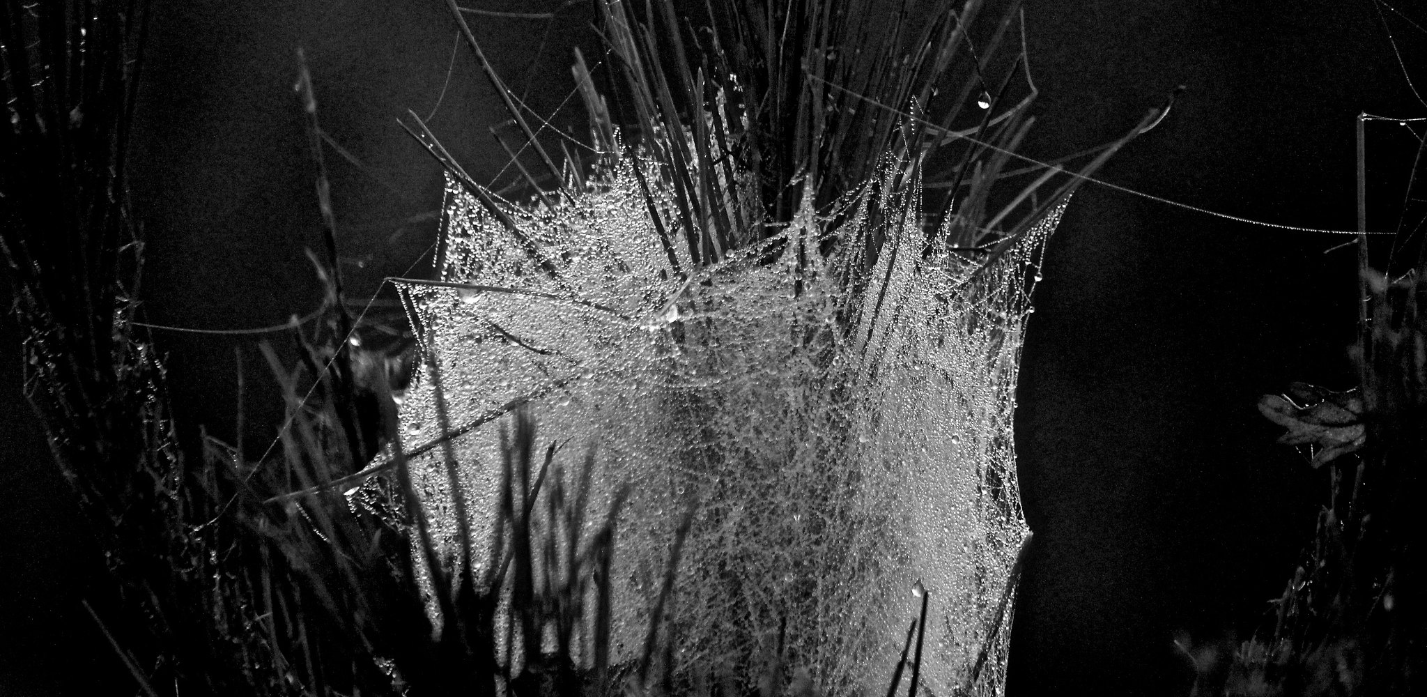 Noche húmeda. © Oiluj Samall Zeid, CC BY-NC-ND 2.0 DEED Noche húmeda. © Oiluj Samall Zeid, CC BY-NC-ND 2.0 DEED