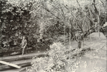 port de la guerilla, 1984