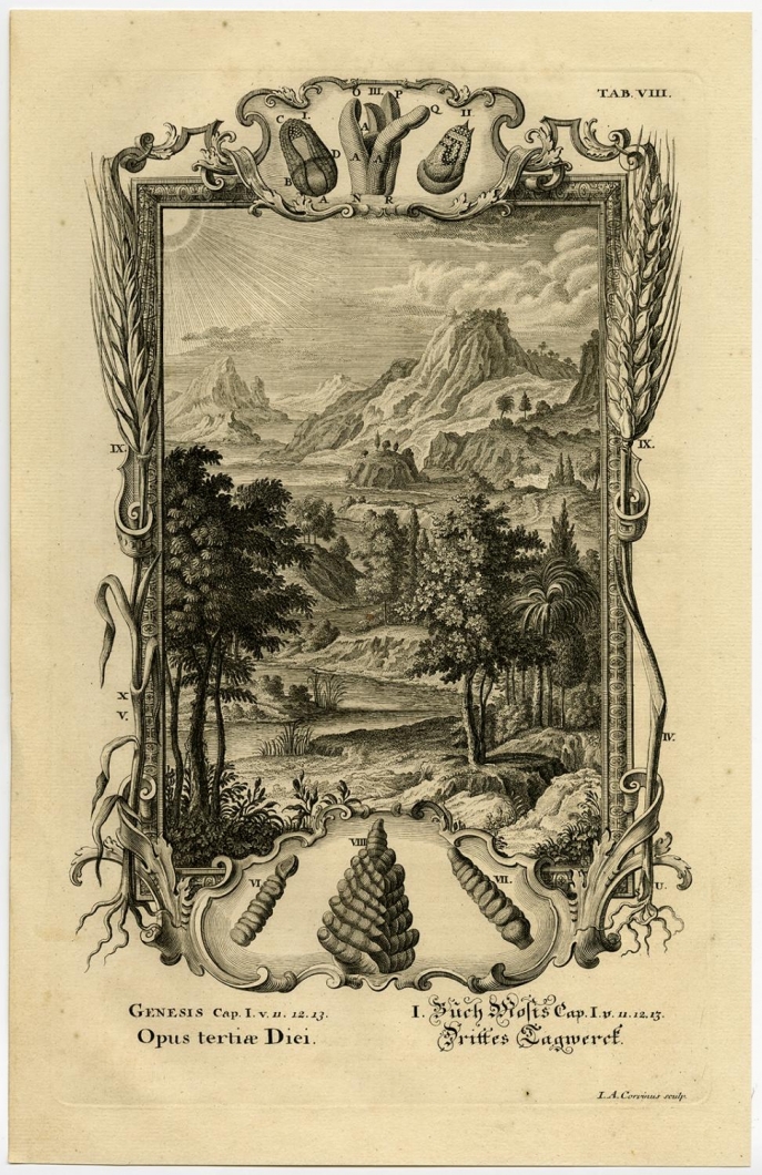 Scheuchzer, Kupferbibel: Genesis, cap 1, 3rd Day of Creation Scheuchzer, Kupferbibel: Genesis, cap 1, 3rd Day of Creation