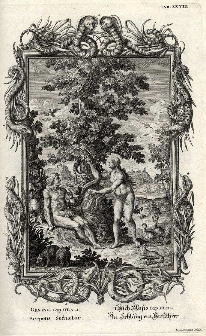 Scheuchzer, Chapter III, Serpens seductor: Sitting Adam, with Eve offering the forbidden fruit Scheuchzer, Chapter III, Serpens seductor: Sitting Adam, with Eve offering the forbidden fruit