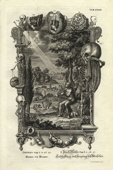 Scheuchzer, Genesis, cap. 1, Homo ex humo; Creation and generation of the human Scheuchzer, Genesis, cap. 1, Homo ex humo; Creation and generation of the human