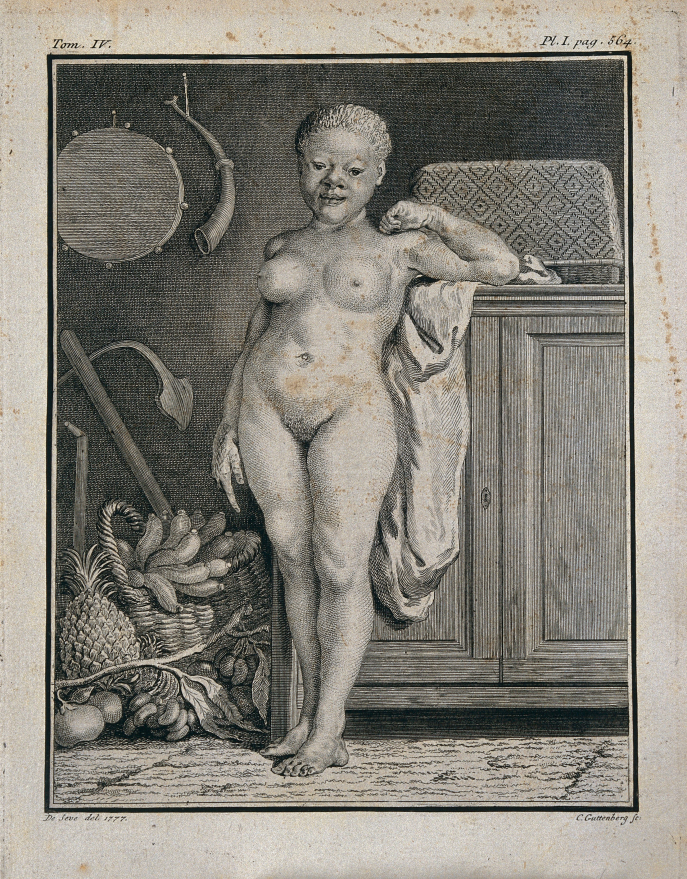 Geneviève. Gravure d’après un dessin de Jacques de Sève parue dans Histoire naturelle générale et particulière, servant de suite à l’histoire naturelle de l’homme. Supplément, t. IV, Paris, Imprimerie royale, 1777, pl. 1