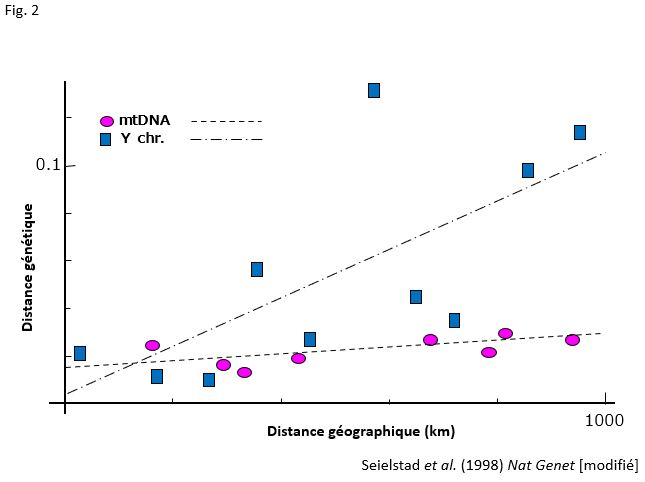 Corrélations entre les distances génétiques