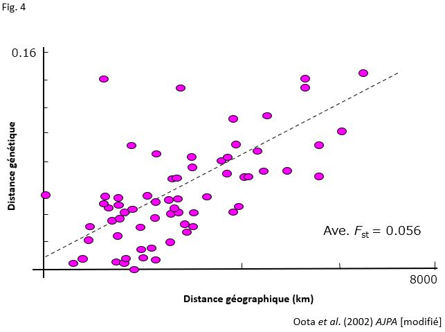 Corrélations entre les distances génétiques et les distances géographiques