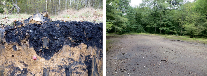 Pollutions sévères des sols par des résidus de brulage de Restes Explosifs de Guerre chimique (a : Place à Gaz, Grémilly, Meuse) et conventionnels (b : Liessies, Nord). © D. Hubé, 2014, 2017
