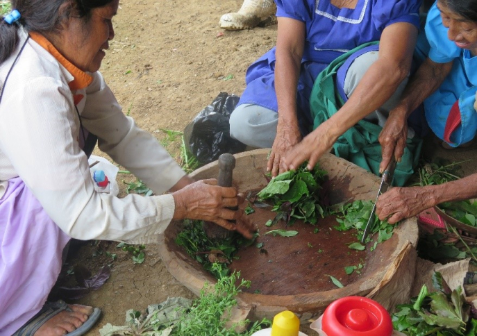 Women preparing medicinal herbs. Workshop Incerteza Viva, Lamas. © Raúl Matta, 2016