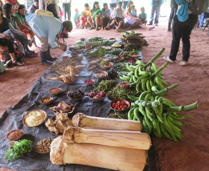 Food sharing event. Workshop Incerteza Viva, community Anak Churuyaco Valisho. © Raúl Matta, 2016