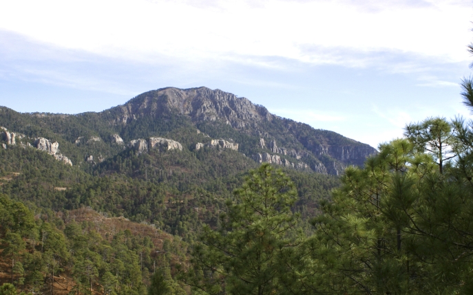 Cerro Mohinora et Sierra Tarahumara, Creative Commons