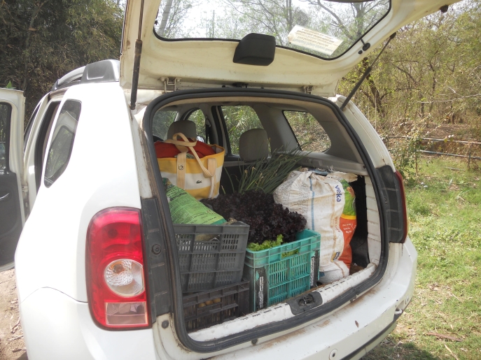 coffre de voiture blanche chargé de produits à vendre au marché