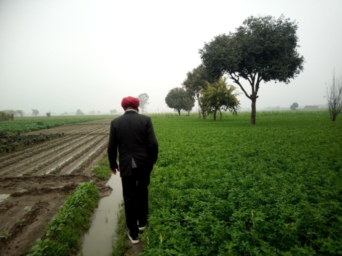 Visite des parcelles de la ferme de Pingalwara en compagnie de Rajbir Singh Visite des parcelles de cultures avec une personne pour guide