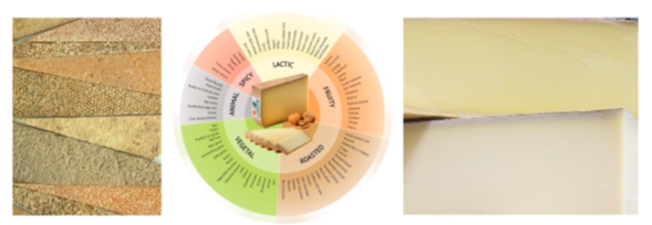 De gauche à droite : croûtes de fromage de Comté (© Claire Perrot) ; roue des arômes du Comté Aroma en anglais (© CIGC) ; étalage de Comté au marché (© Shields-Argelès). De gauche à droite : croûtes de fromage de Comté (© Claire Perrot) ; roue des arômes du Comté Aroma en anglais (© CIGC) ; étalage de Comté au marché (© Shields-Argelès).