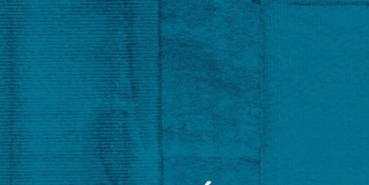 fond bleu de la couverture du numéro 17 de passés futurs